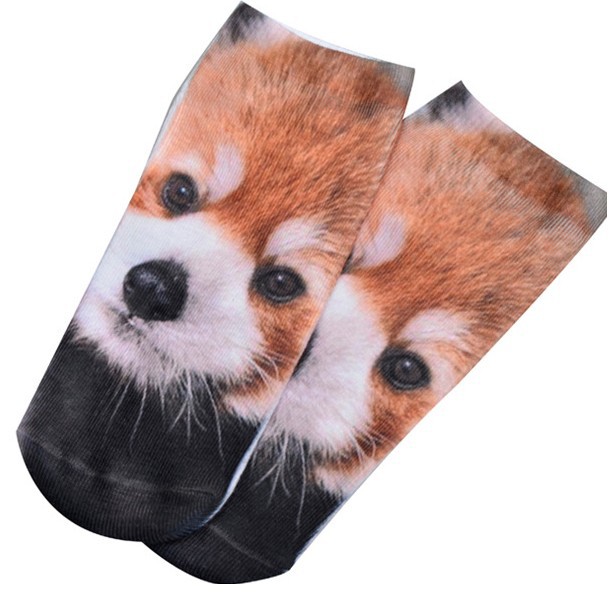 (KPAHNLWORHS0I]P_9W5XSC