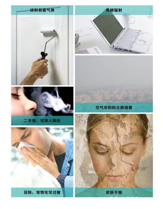 鬱金香加濕器