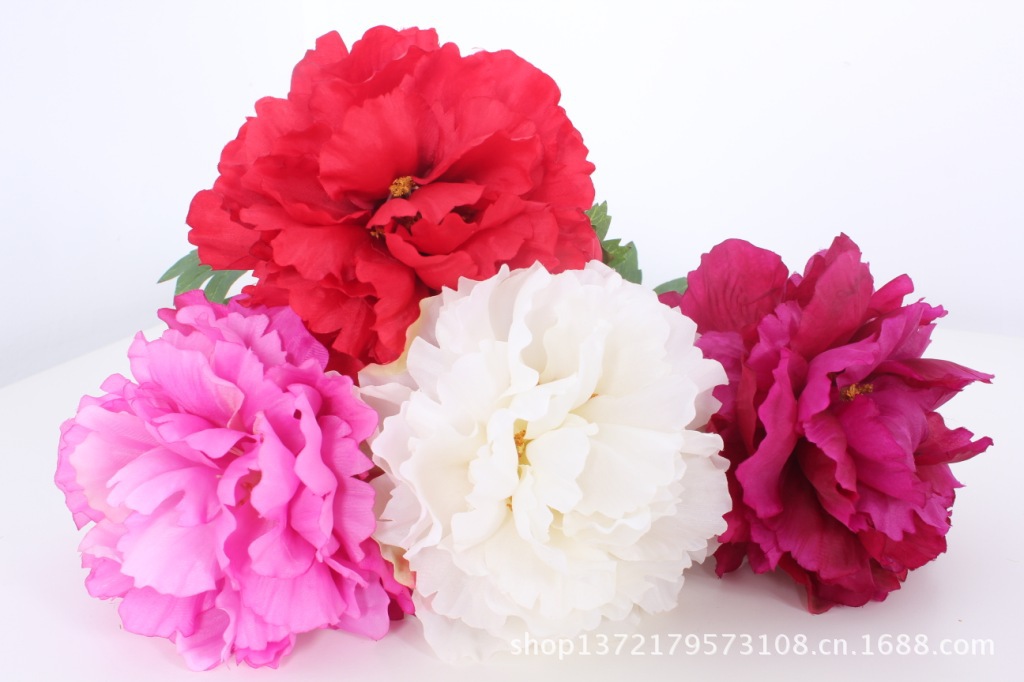 两头牡丹9(2-Head Peony)SJB1248