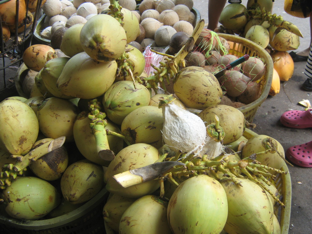 【供应批发海南岛特产的特级新鲜金椰子】价格