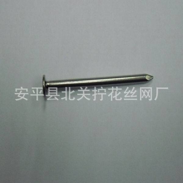 长期批发 镀锌木工铁钉 普通平头铁钉报价