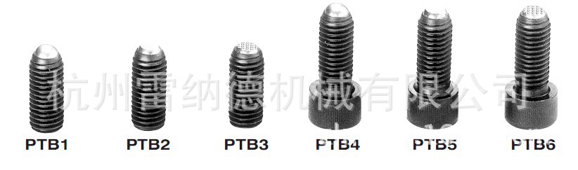 PTB动向钢珠螺杆