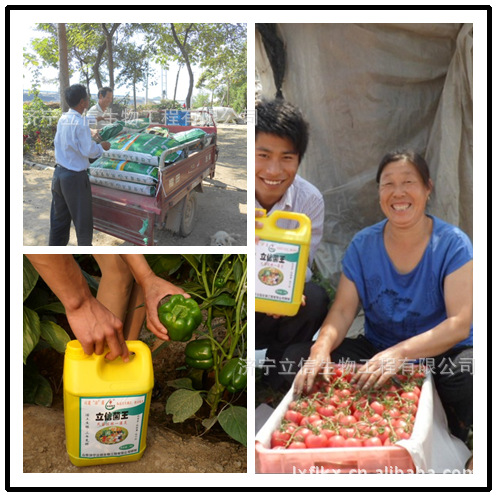 寿光生物菌肥用户