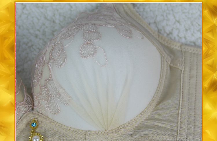 调整型<em>无钢圈文胸罩</em>内衣 B杯刺绣 戴兰妮品牌