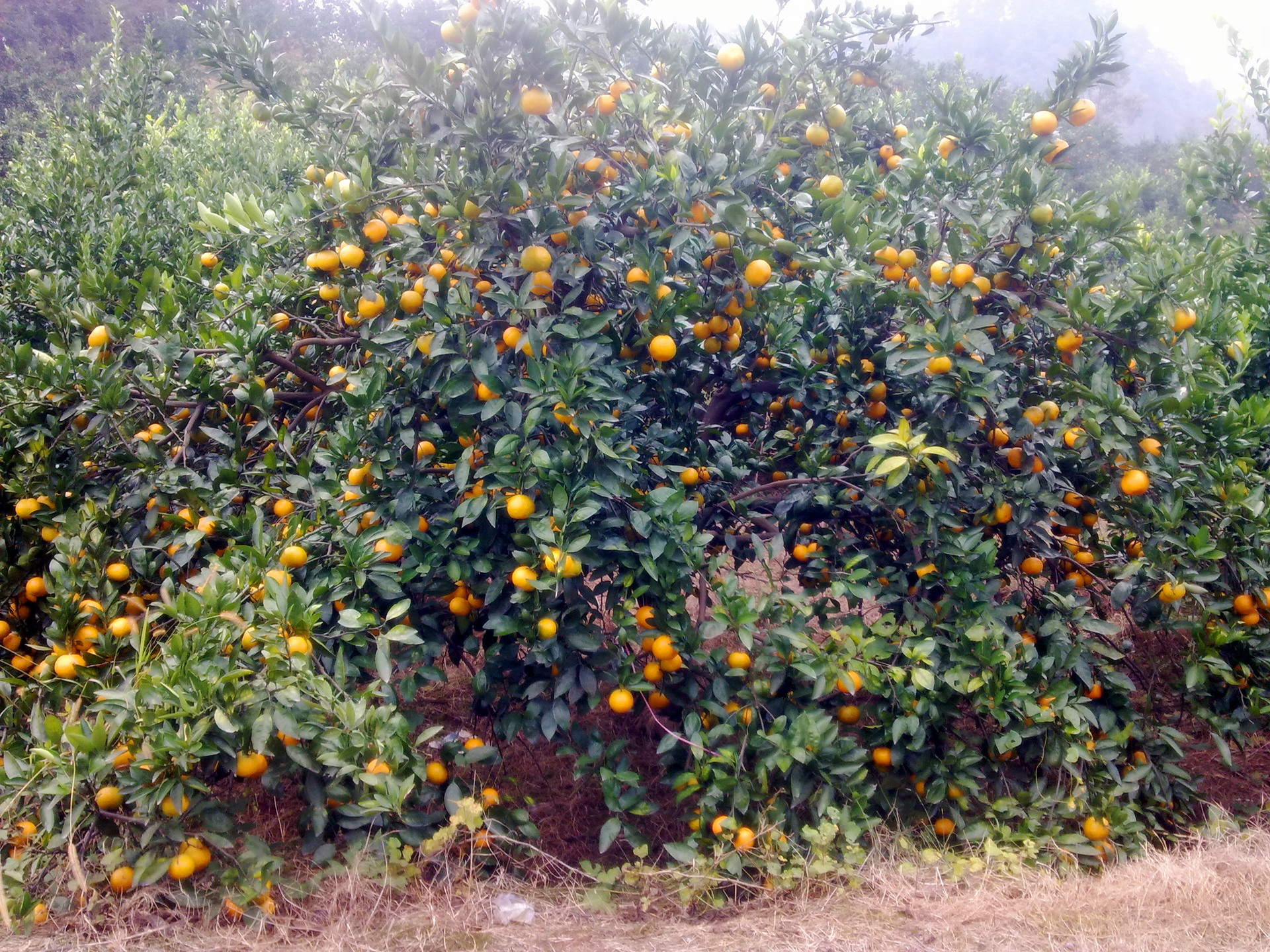 周末了 大家要记得我出去走走噢