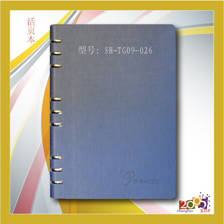 复件 (5) 2[转换]