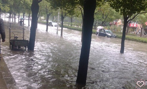 菲特台风之危害