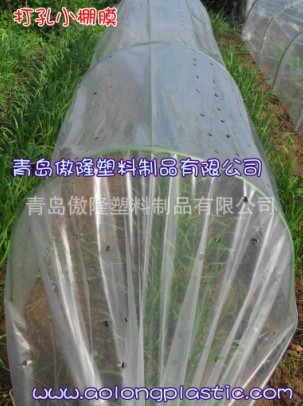 打孔小棚膜