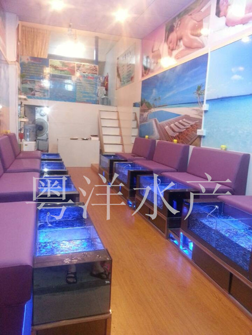 QQ图片20131102221549_副本