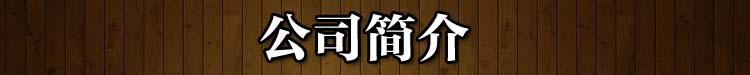 公司簡介