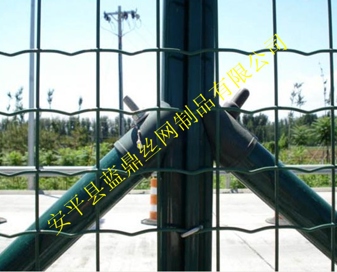 蓝鼎荷兰网67_副本