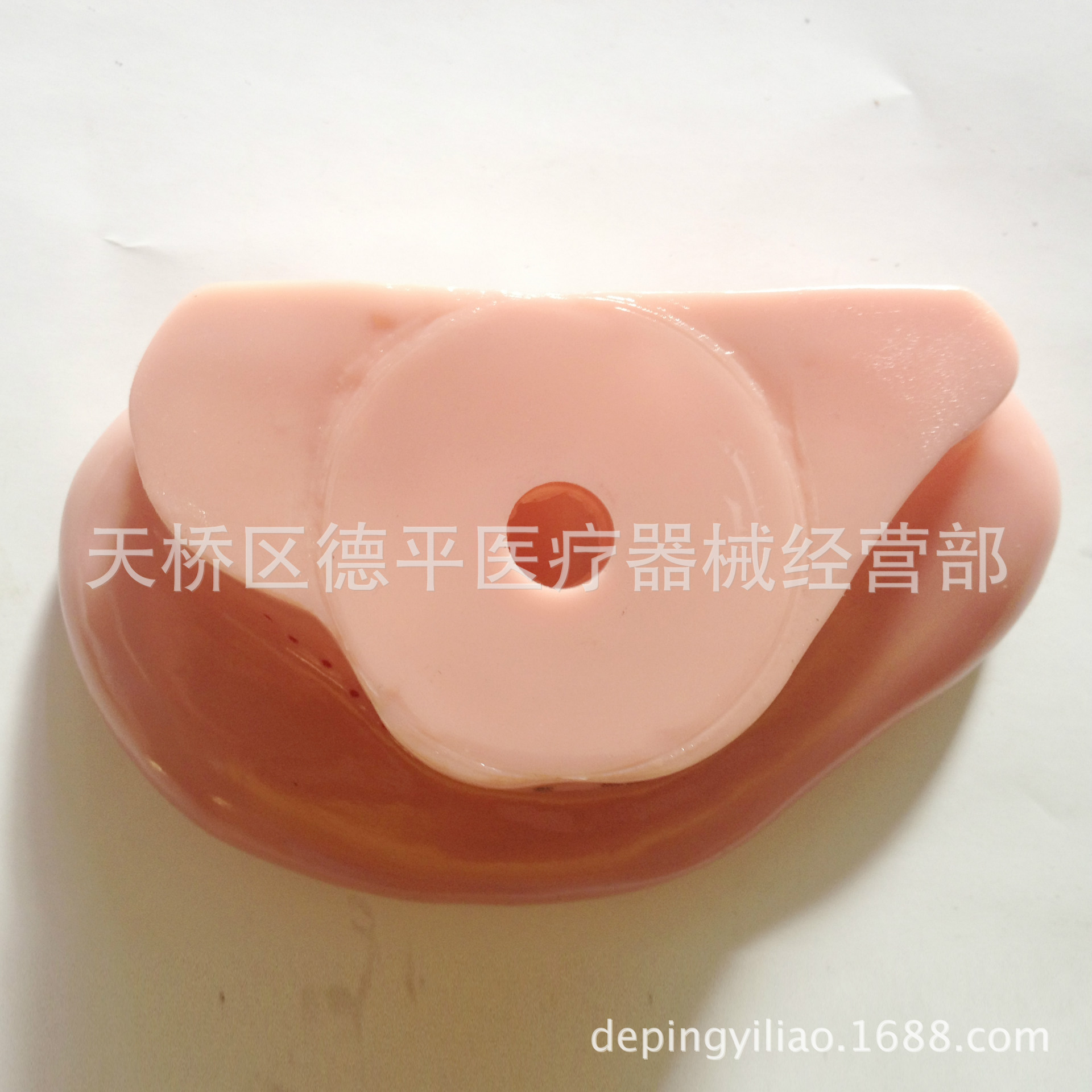 照片 008