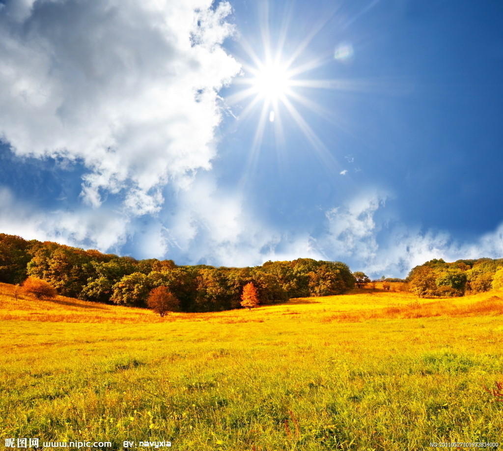 2531170_101932834000_2