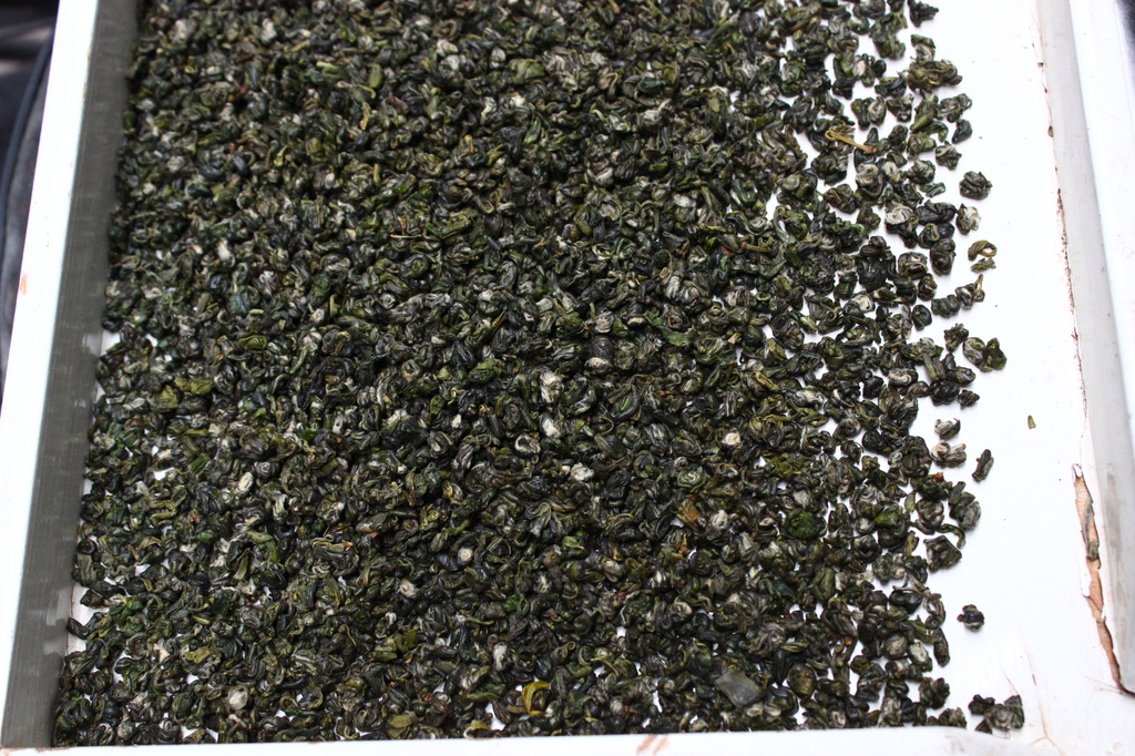 批发珠茶 绿螺茶 绿珠茶 螺茶图片,批发珠茶 绿