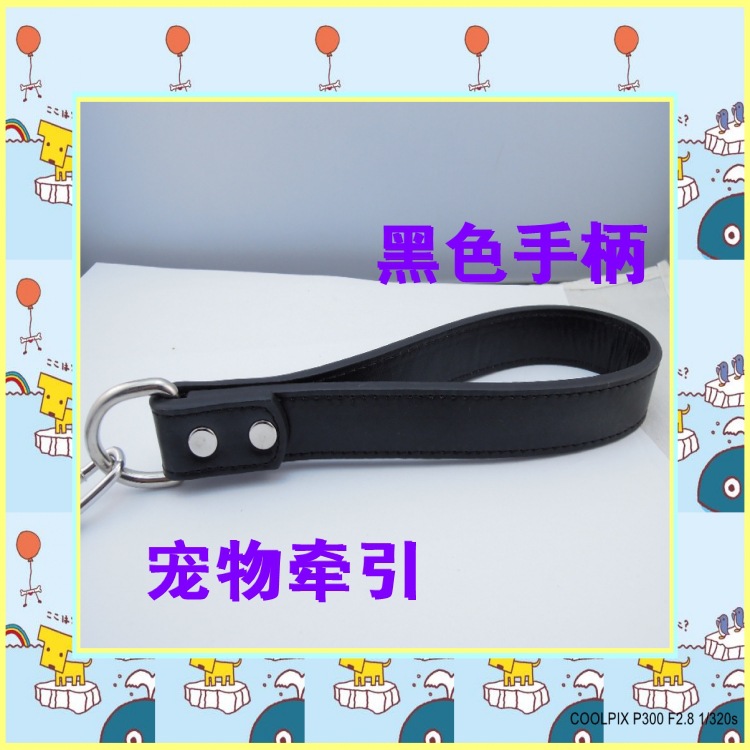DSCN0865_conew11