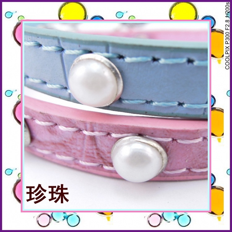 DSCN1048_conew1