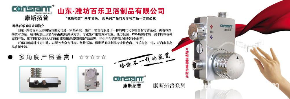 网站2