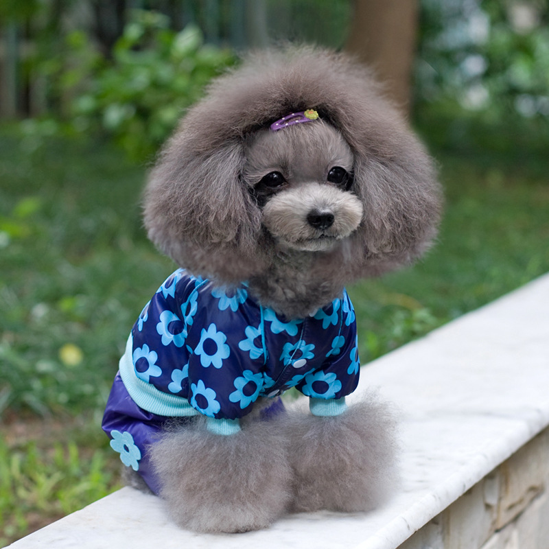 厂家特批 宠物衣服 小猪四脚狗狗衣服 狗服装 宠