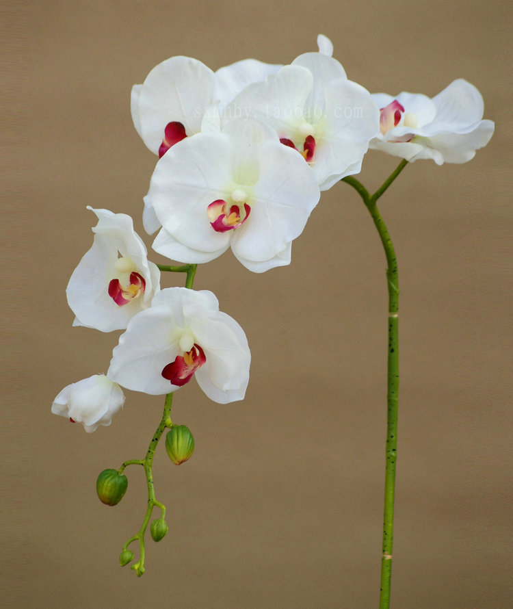 【西安仿真花批发市场-假花批发-塑料花批发-梦