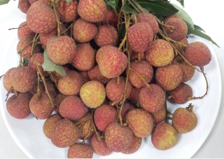 【福建诏安产地直销新鲜荔枝批发 现摘现卖掉