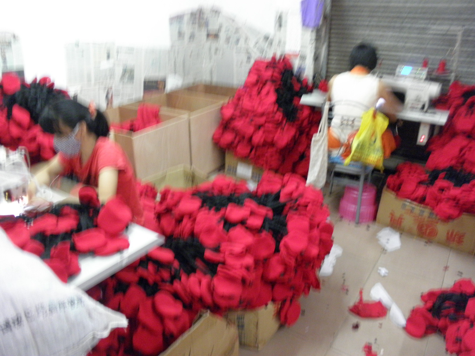 P1010064