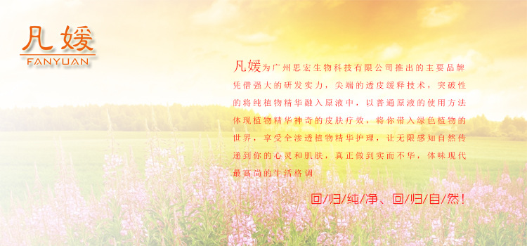 凡媛介紹1