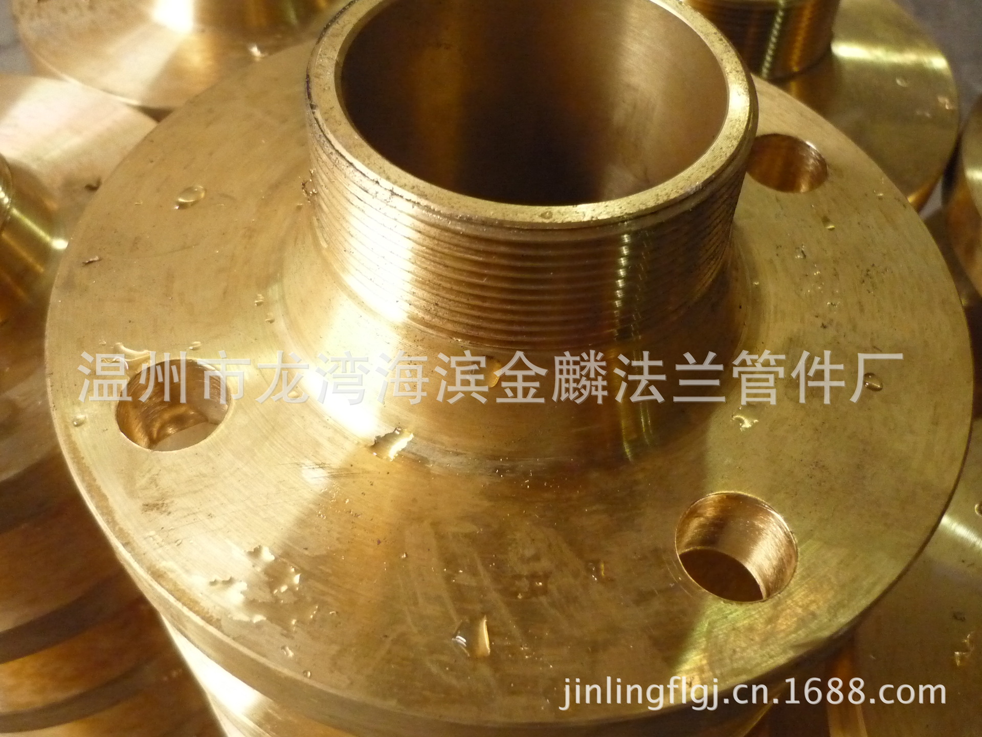 市龙湾海滨金麟法兰管件厂是专业生产不锈钢,合金钢法兰的正规老厂家