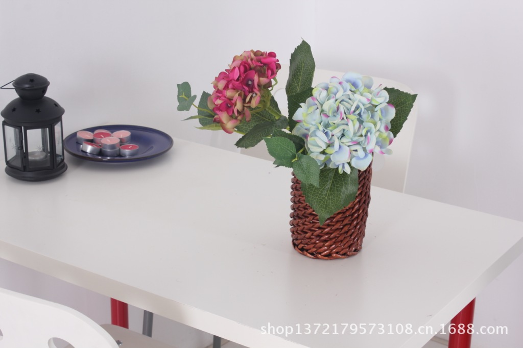 单枝两叉9叶小苞豆花绣球3 (Hydrangea)SJB14