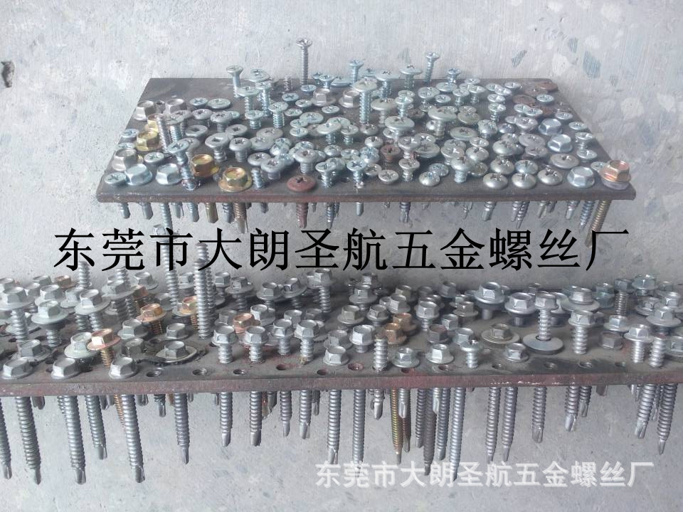 钻尾螺丝钉 燕尾螺丝钉