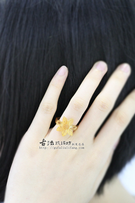 菊花 (3)