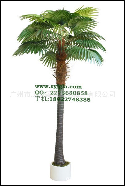 conew_220cm-特大扇葵