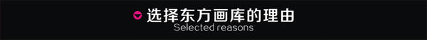 选择理由1