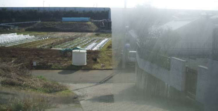 【保赐利雾清 高效浓缩汽车玻璃防雾剂 浴室玻