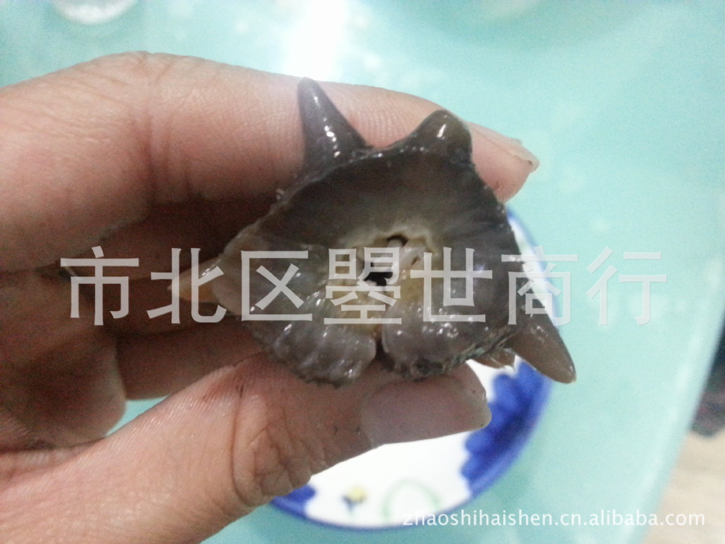 20130404_205541