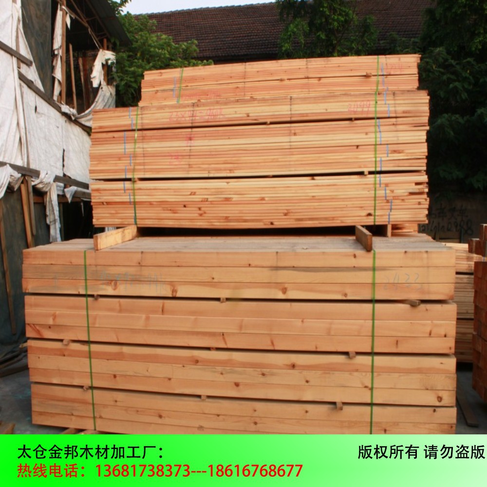 conew_conew_樟子松1