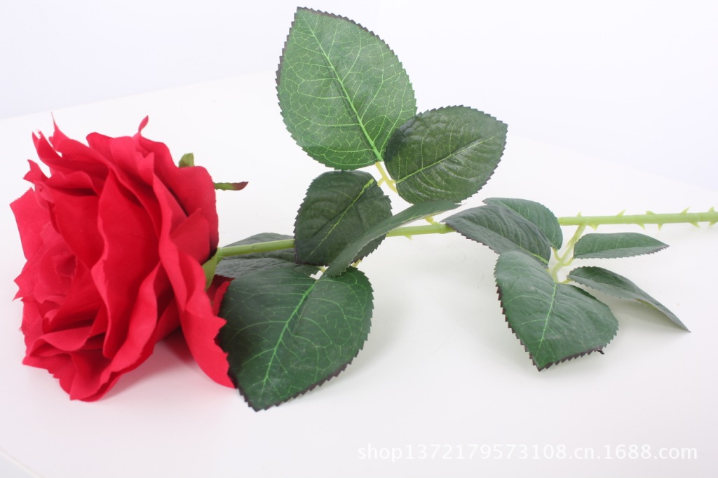 单枝大玫瑰0 (Single Rose)SJB1350