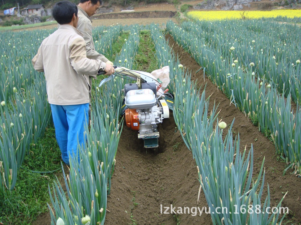 【大葱移栽机】