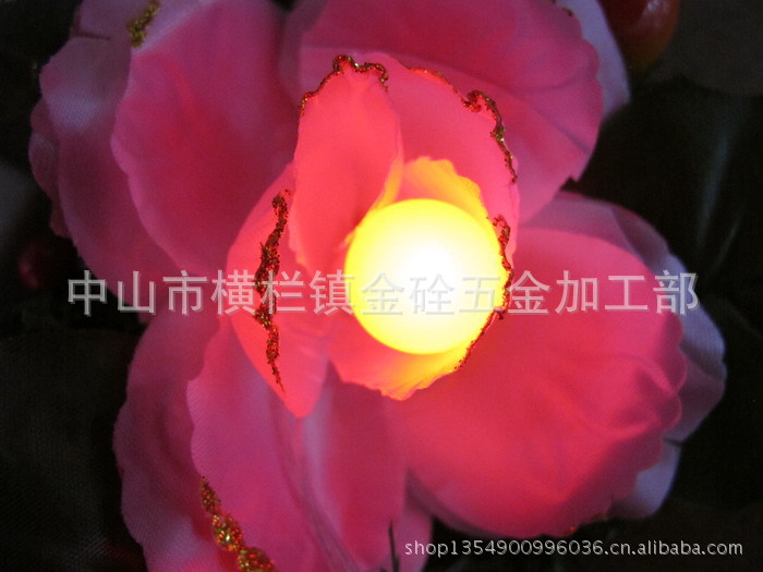 LED花環圖片 (19)