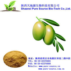 供应橄榄叶提取物