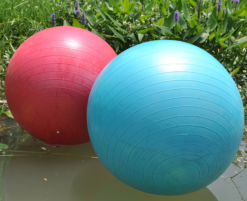 【厂家直销各种规格优质防爆加厚瑜伽球 专业