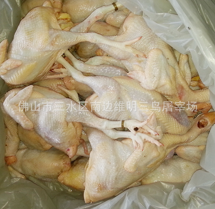 简加工肉类-【批发出售】 美味鲜佳冰鲜鸡 优质