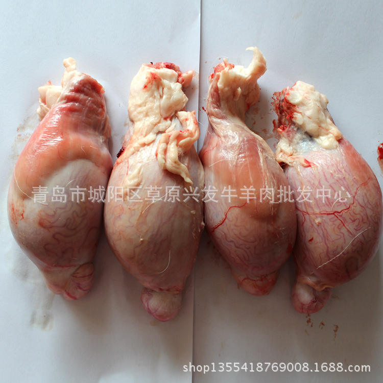 【内蒙古羊肉羊宝 男性滋补食品 壮阳大补【图