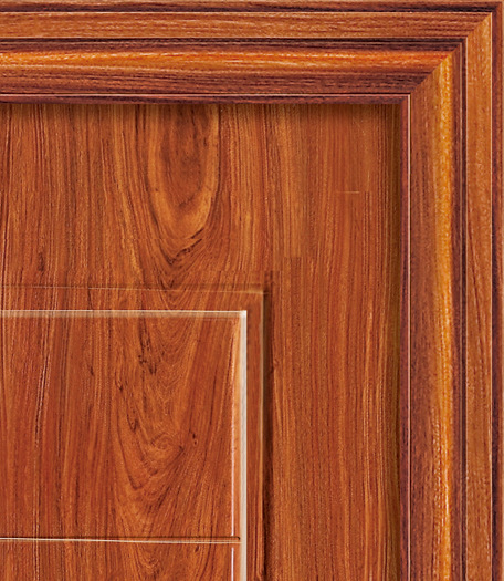 电解板门 钢质门 电解板室内门 生产厂家 湛江东