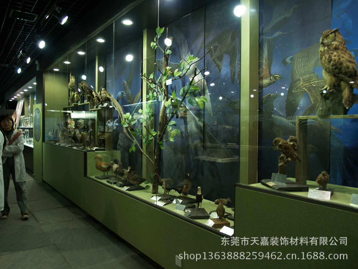 南昌大学博物馆（4441）