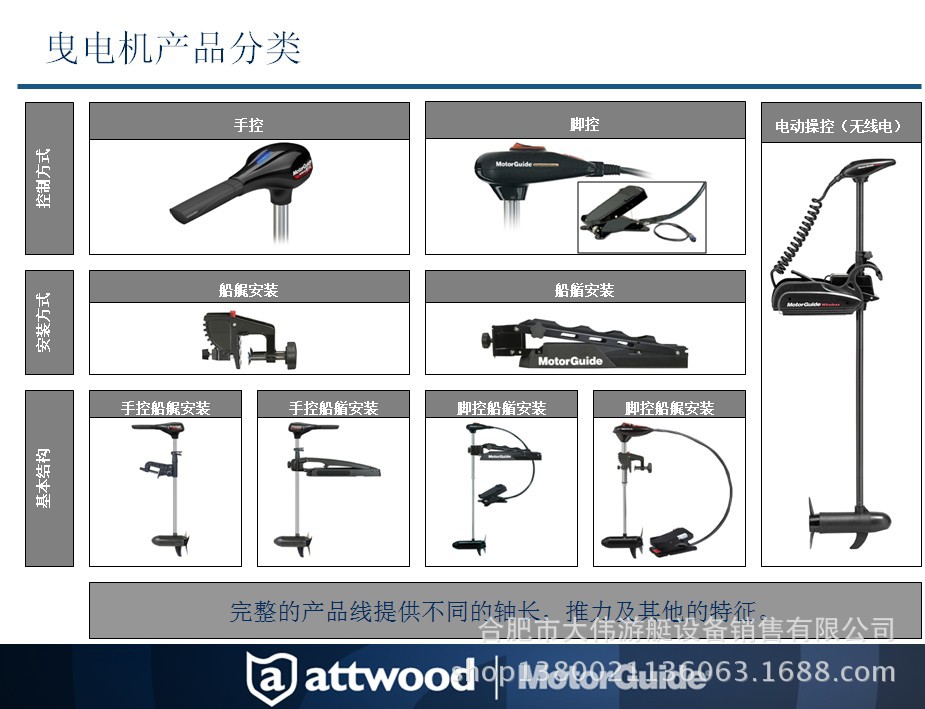 类型分类