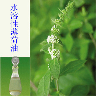 批发采购植物香料-供应水溶性薄荷油 提神醒脑