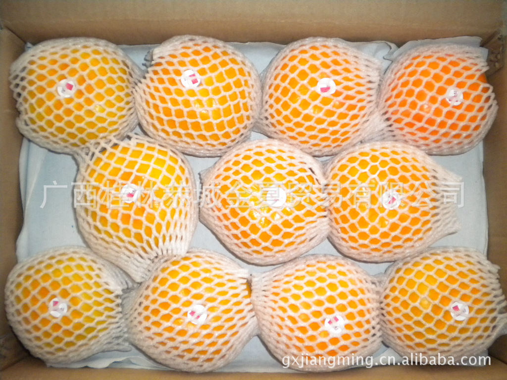 柿子-供应优质无公害水果、红娘子牌恭城大红