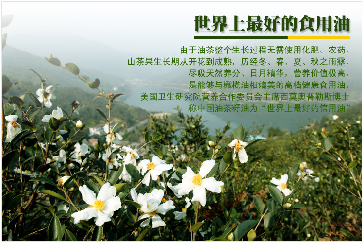 【仙都 高山绿谷野生山茶油 有机500ml*3】价格,厂家,图片,其他食用油,缙云县仙都山茶油有限公司-马可波罗网