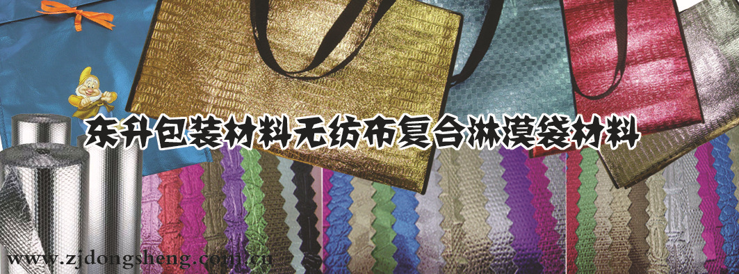 首页3拷贝