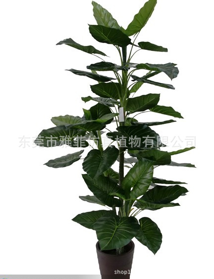 QQ截图20130719163631